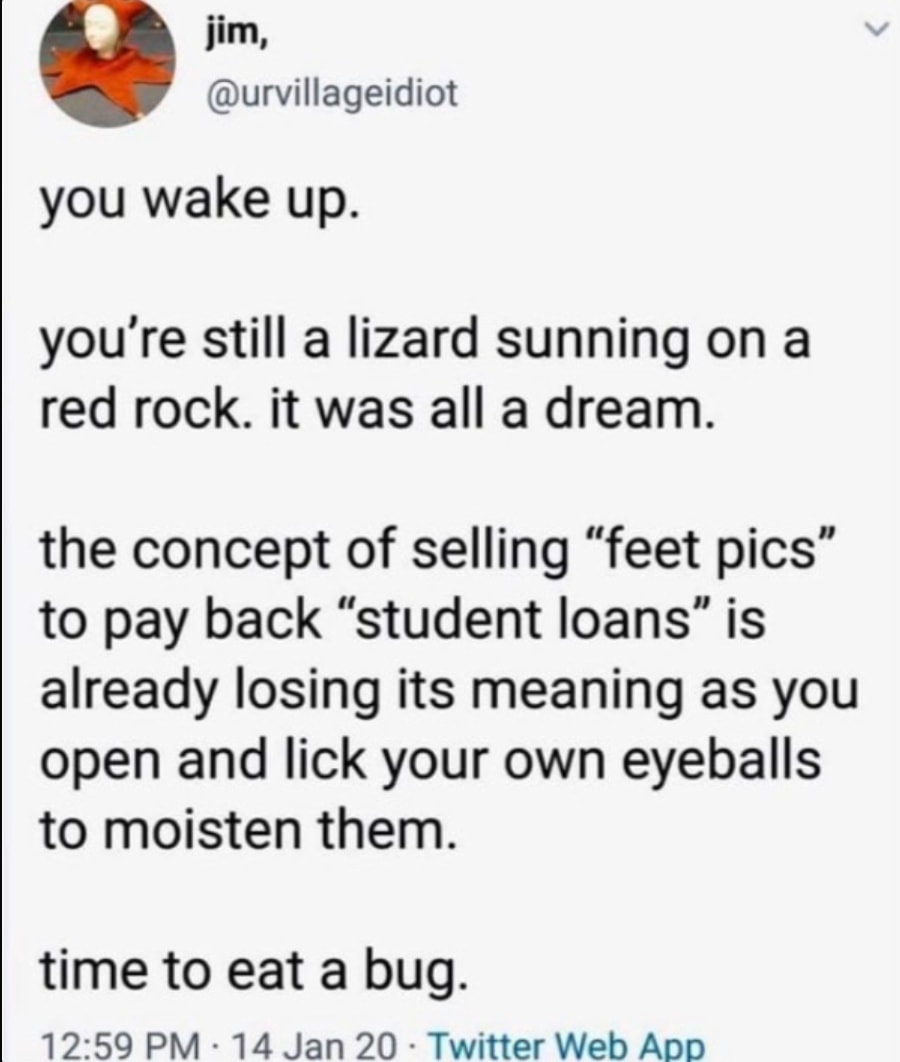 This meme is a satirical commentary on the concept of selling "feet pics" to pay back student loans. The text reads: "You wake up. You're still a lizard sunning on a red rock. It was all a dream. The concept of selling 'feet pics' to pay back 'student loans' is already losing its meaning as you open and lick your own eyeballs to moisten them. Time to eat a bug." The text is written in a stream-of-consciousness style, with a dream-like quality, and is meant to be humorous and relatable. The meme pokes fun at the idea of selling personal photos to pay off debt, and the absurdity of the concept. The image is a simple text-based meme, with no visual elements.